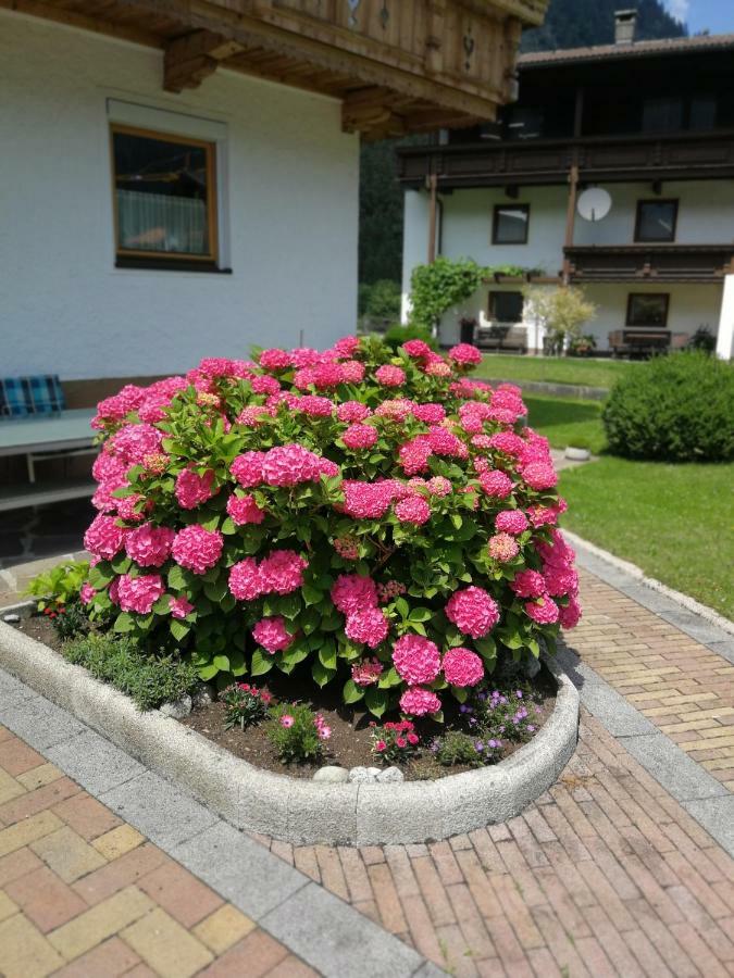 Haus Wildauer Hotel Mayrhofen Ngoại thất bức ảnh